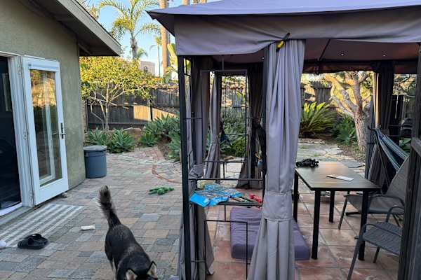 House sit in Solana Beach, CA, US