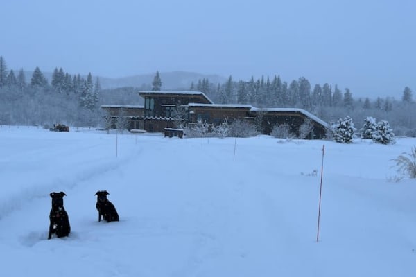 House sit in Steamboat Springs, CO, US
