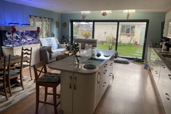 House sit in Christchurch, United Kingdom