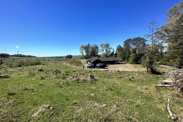 House sit in Te Kauwhata, New Zealand