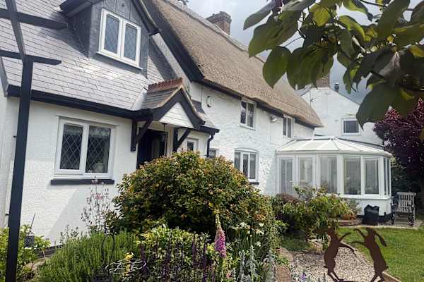 House sit in Leicester, United Kingdom