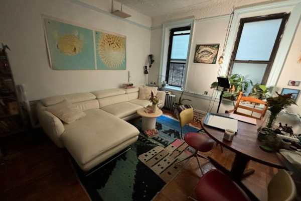 House sit in Brooklyn, NY, US