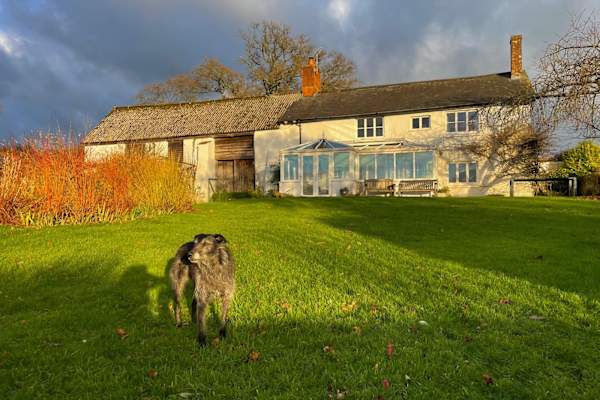 House sit in Cullompton, United Kingdom