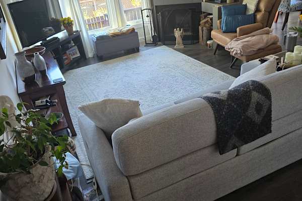 House sit in Calgary, AB, Canada
