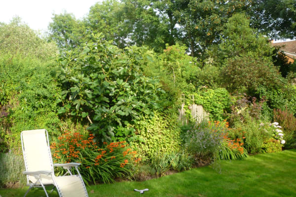 House sit in London, United Kingdom