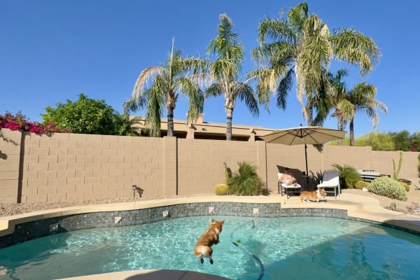 House sit in Scottsdale, AZ, US