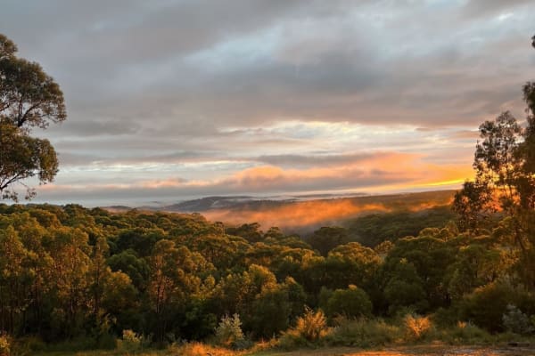 House sit in Callignee, VIC, Australia