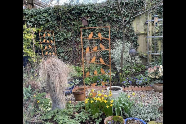 House sit in Oxford, United Kingdom