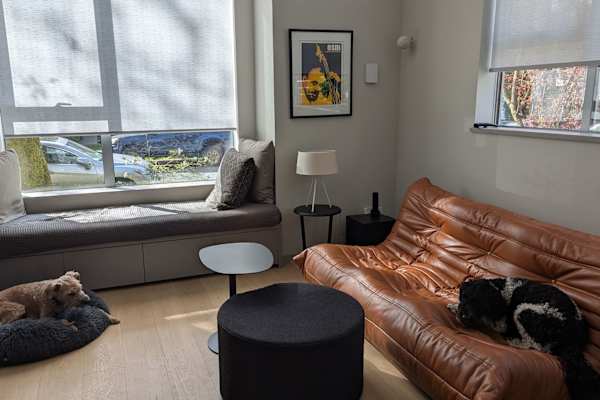 House sit in Vancouver, BC, Canada