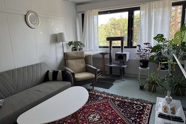 House sit in Oulu, Finland