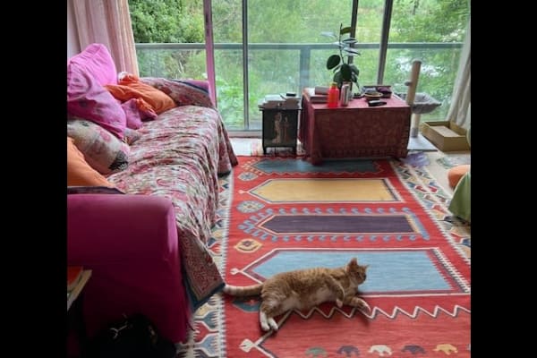 House sit in London, United Kingdom