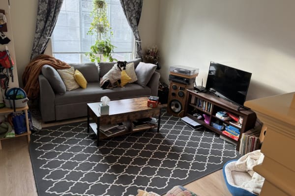 House sit in Kirkland, WA, US