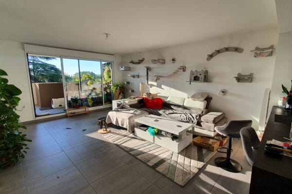 House sit in Montpellier, France