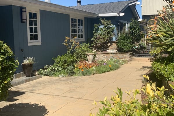 House sit in Lafayette, CA, US