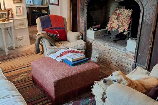 House sit in Vic-Fezensac, France