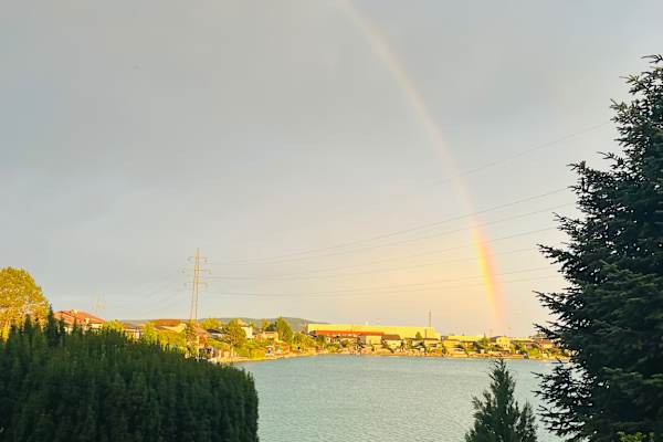 House sit in Leobendorf, Austria