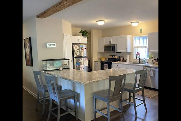 House sit in Ouray, CO, US