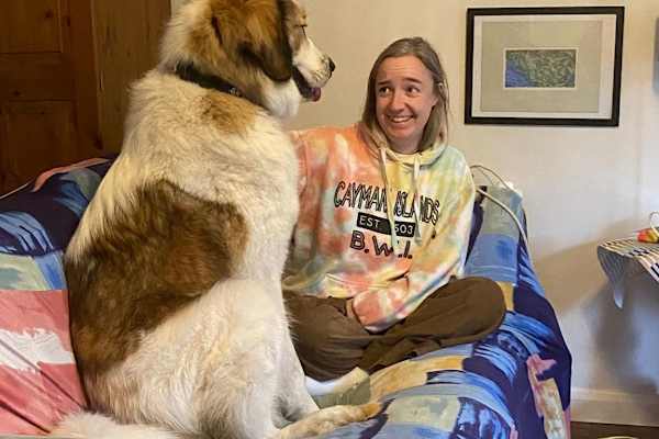 House sit in Cox Green, United Kingdom