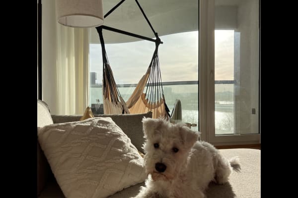 House sit in Vienna, Austria