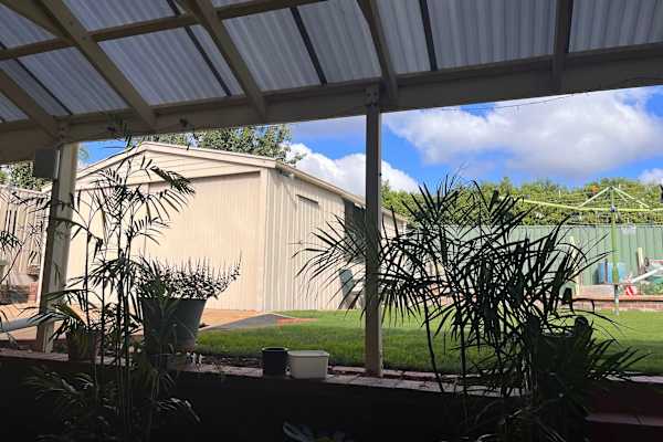 House sit in Adelaide, SA, Australia