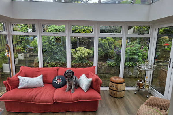 House sit in Saint Andrews, United Kingdom