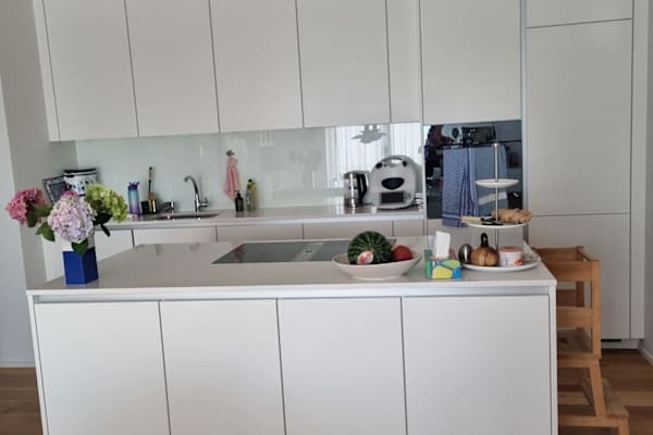 House sit in Zug, Switzerland