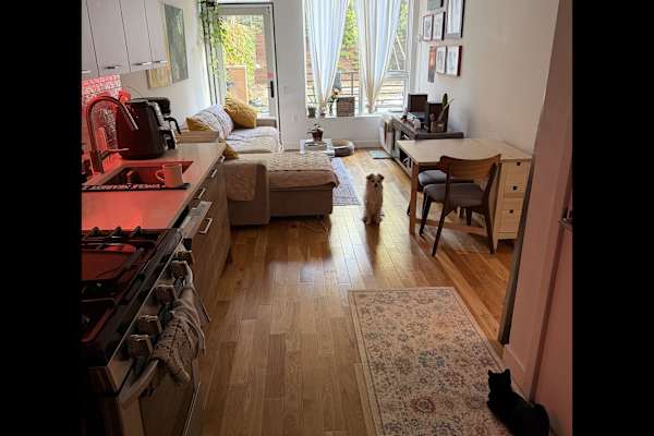 House sit in Brooklyn, NY, US