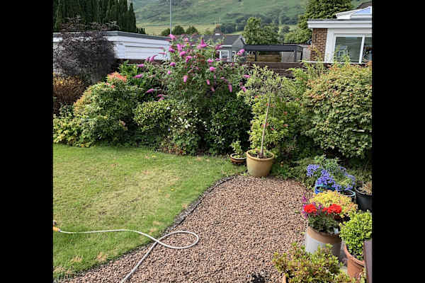 House sit in Tillicoultry, United Kingdom