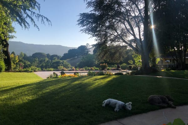 House sit in Portola Valley, CA, US