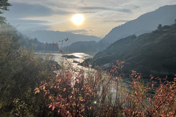 House sit in Alberton, MT, US