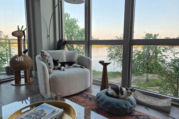 House sit in Washington, D.C., Washington, D.C., US