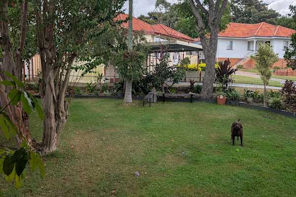 House sit in Brisbane, QLD, Australia