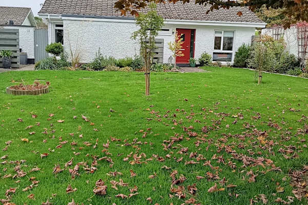 House sit in Wicklow, Ireland