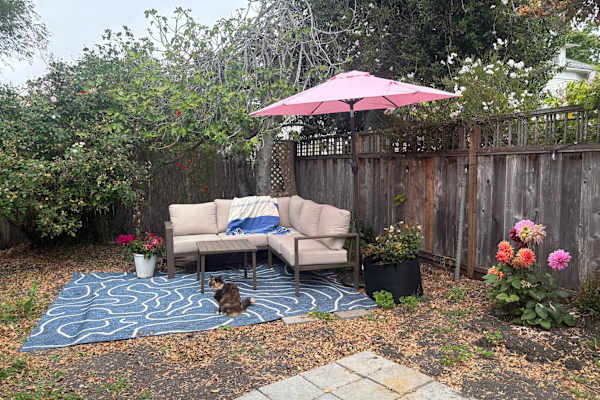 House sit in Santa Cruz, CA, US