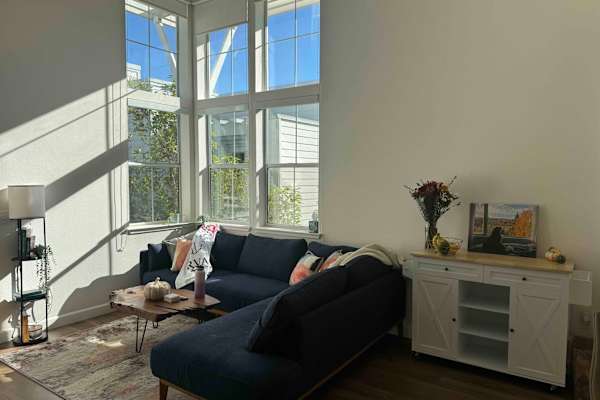 House sit in San Mateo, CA, US