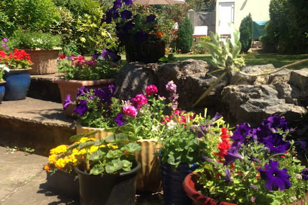 House sit in Torquay, United Kingdom