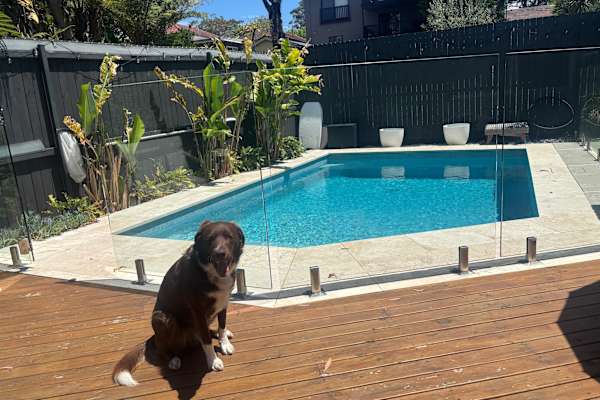 House sit in Sydney, NSW, Australia