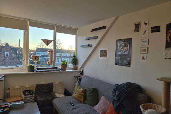 House sit in Utrecht, Netherlands