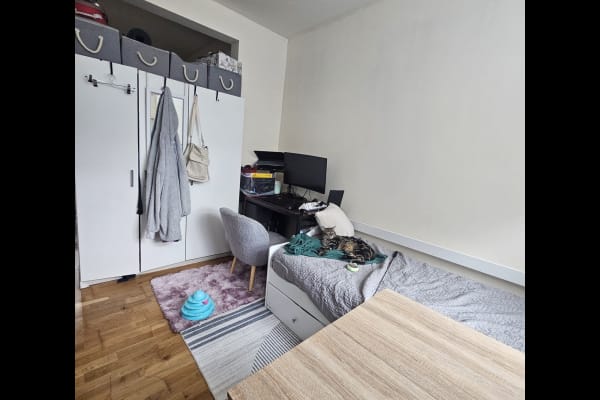 House sit in City of London, United Kingdom