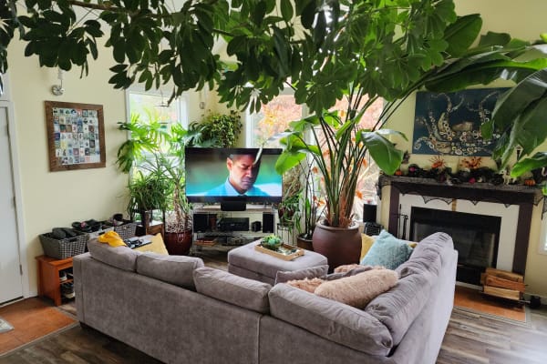 House sit in Nehalem, OR, US