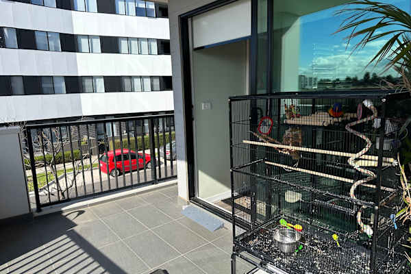 House sit in Melbourne, VIC, Australia