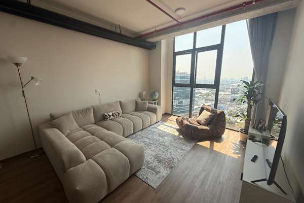 House sit in Mexico City, Mexico