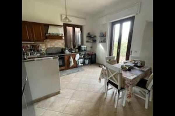 House sit in Castiglione del Lago, Italy