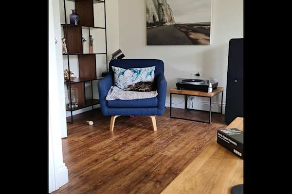 House sit in Southampton, United Kingdom