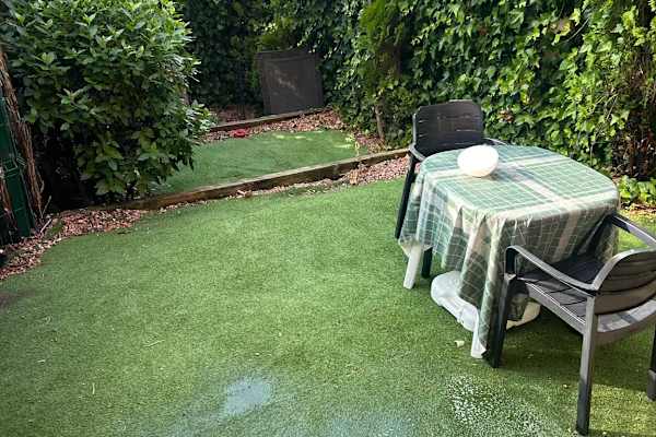 House sit in Madrid, Spain