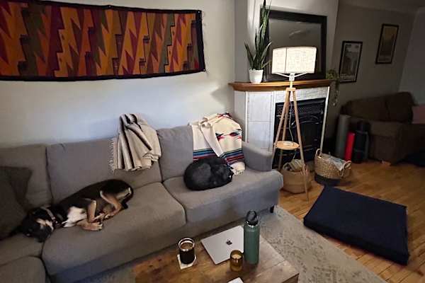 House sit in Thunder Bay, ON, Canada