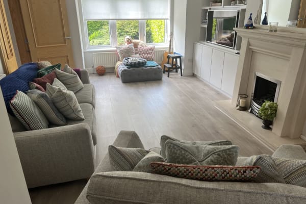 House sit in Dublin, Ireland