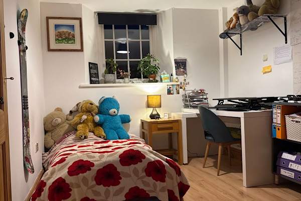 House sit in Wigton, United Kingdom