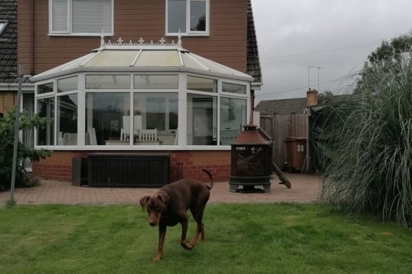 House sit in Rode Heath, United Kingdom