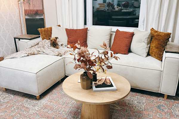 House sit in Magnolia, NJ, US